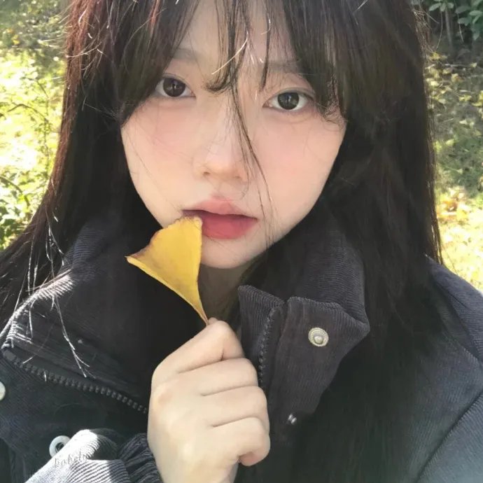 芬妮的勇敢旅程