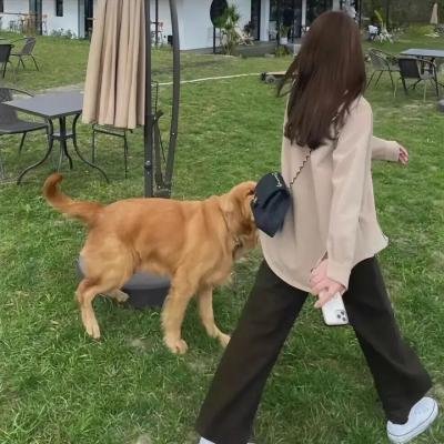 森林里的熊先生